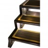 Escalera SwimSpa